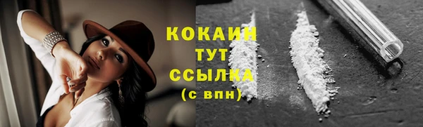 a pvp Няндома