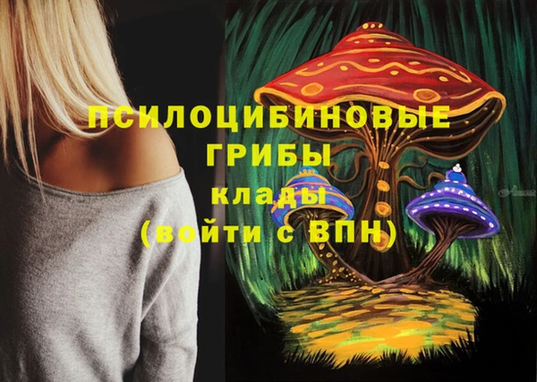 a pvp Няндома