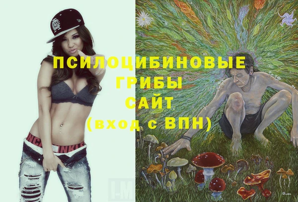 гашишное масло Нязепетровск