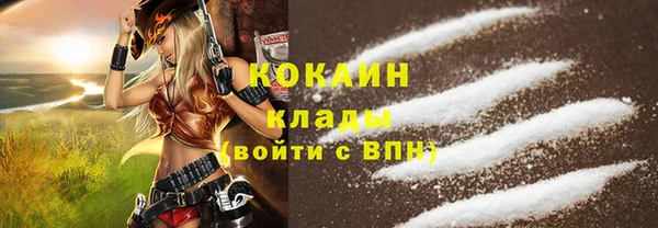 a pvp Няндома