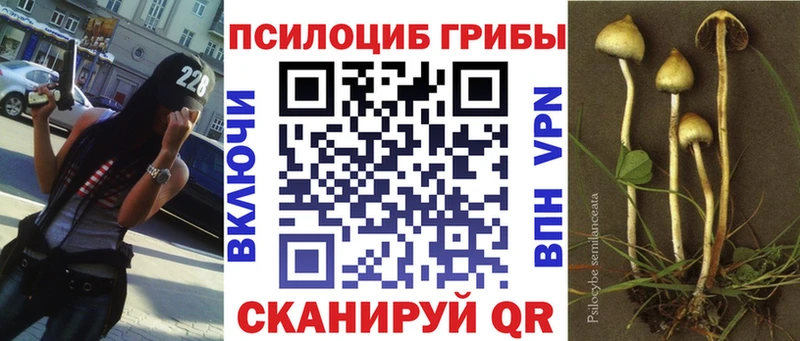 Псилоцибиновые грибы MAGIC MUSHROOMS  Советск 